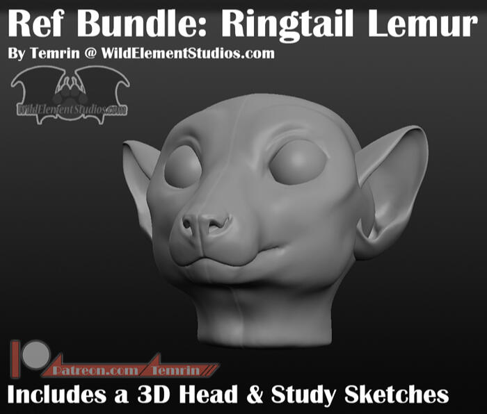 3D Head Resource: Ringtail Lemur