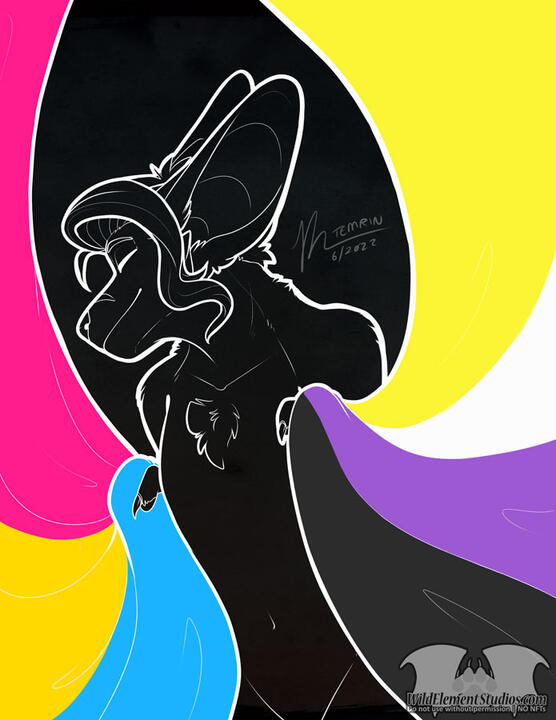 2022 Pride Pan/Nonbinary 2022 Pride Pan/Nonbinary