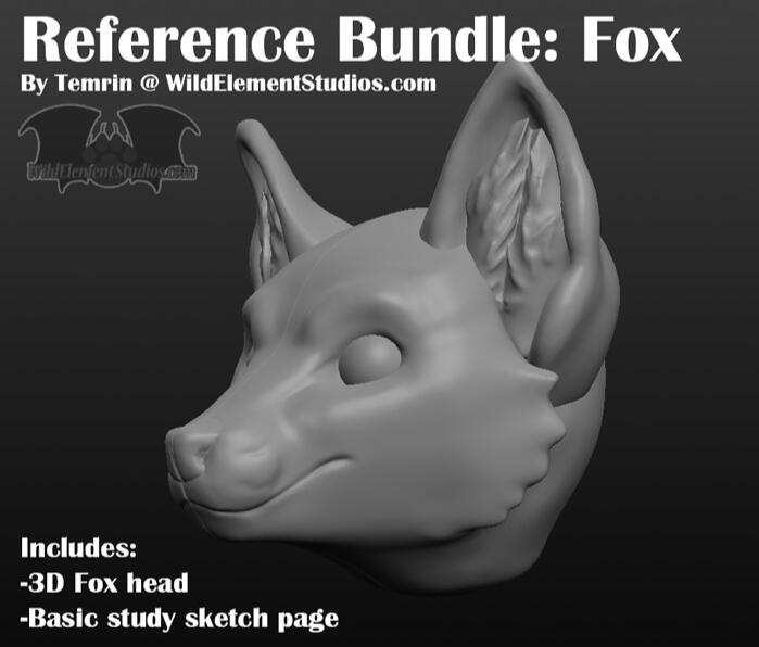 3D Head Resource: Fox
