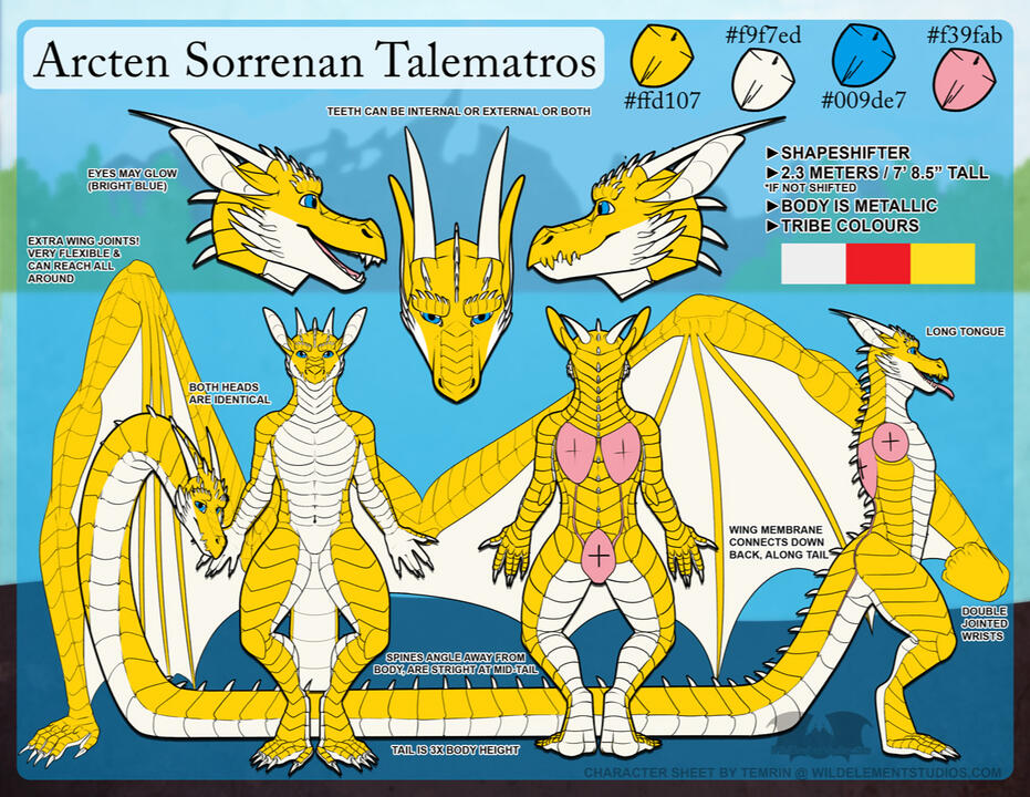 Ref Sheet: Dragon Arcten