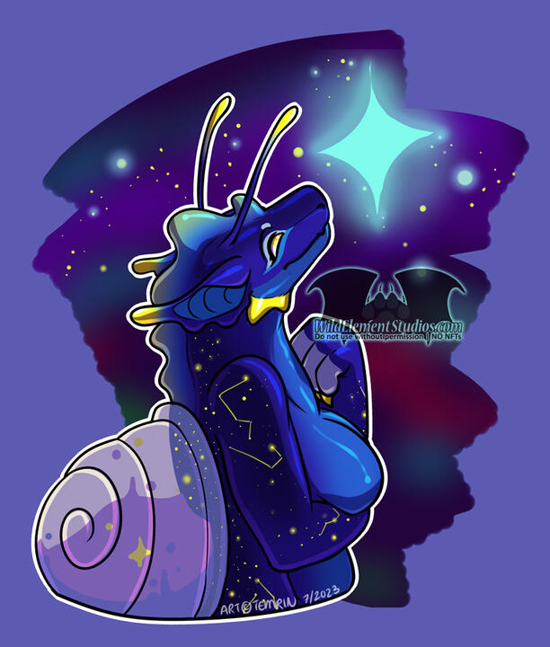 Looking at the Stars