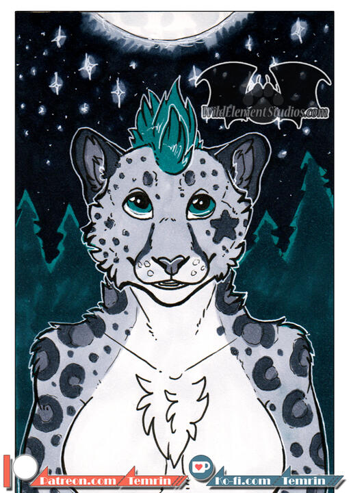 Copics: Feline Portrait