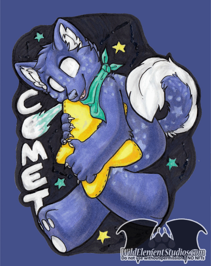 VF2023 Zenami Comet Badge VF2023 Zenami Comet Badge