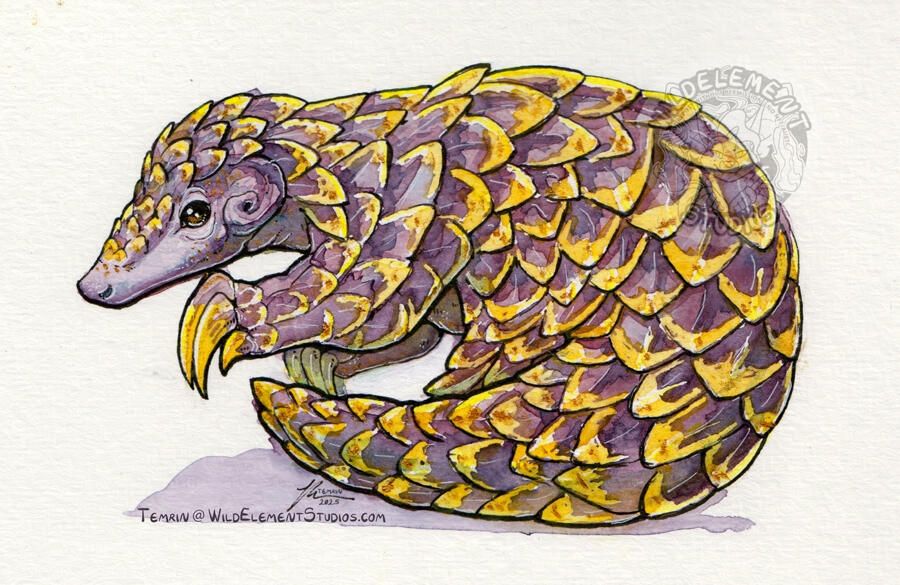 Watercolour, inks, metallic paint Watercolour, inks, metallic paint