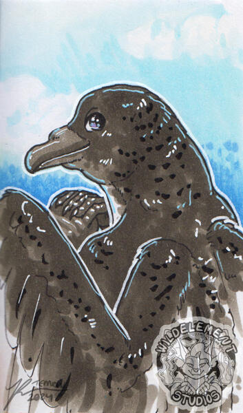 Anthro Art Prompt - Cape Petrel