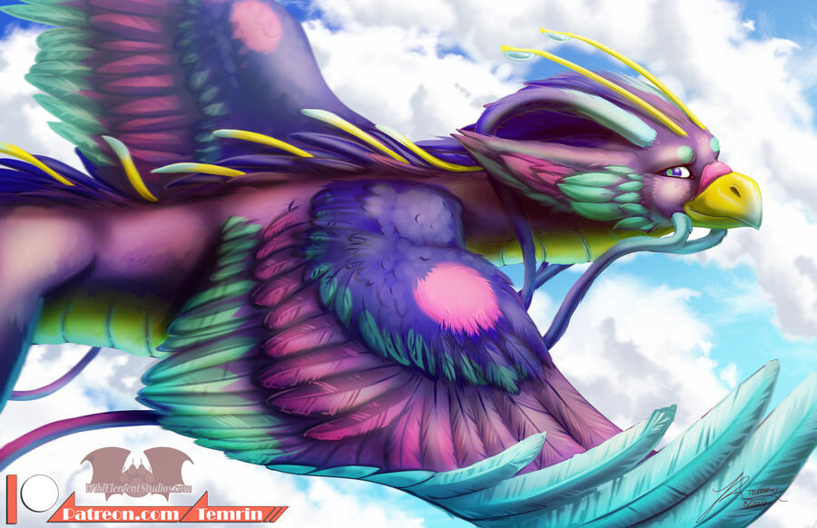 Fae Bir'dragon Fae Bir'dragon